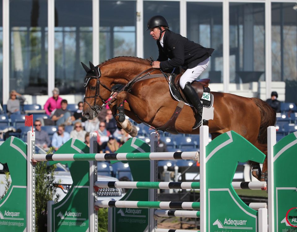 Untouched & Nick Skelton
